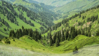 188 гектаров земли Иле-Алатауского нацпарка передадут частникам. Там появятся туркомплексы и горнолыжный курорт