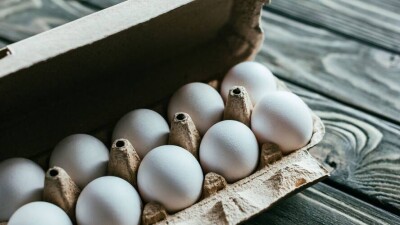 Двукратное увеличение субсидий на производство яиц: заявки можно подавать с 1 июля