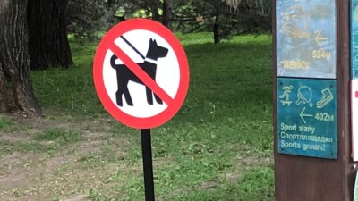 В алматинский Парк Горького запретили заходить с собаками. Владельцы животных против