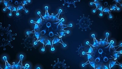 ВОЗ усомнилась в существовании штамма коронавируса "Дельтакрон"