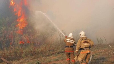 Лесной пожар вспыхнул в Абайской области, под угрозой санаторий