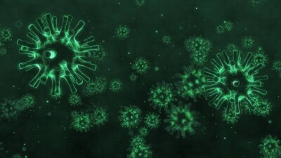 В Казахстане за сутки зарегистрировали 3081 случай заражения Covid-19