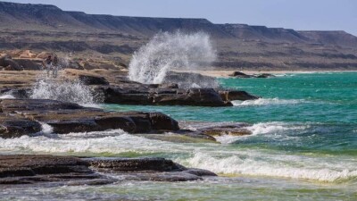 Токаев утвердил законопроект для защиты экосистемы Каспийского моря
