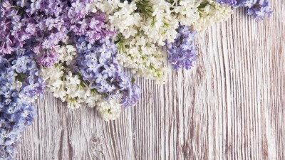 Сколько дней отдохнут казахстанцы в мае. Календарь выходных