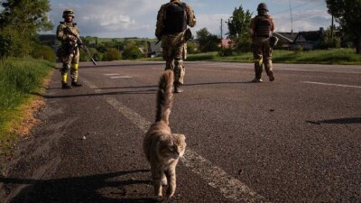 Что происходит в Украине. Главное за день 17 июня