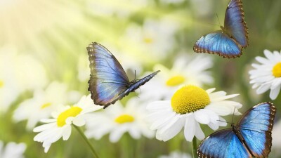 Жара и дефицит осадков. Каким будет лето 2023 года в Казахстане