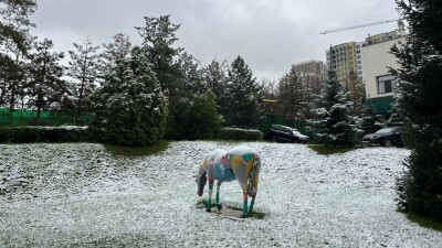 Снег выпал в южной части Алматы