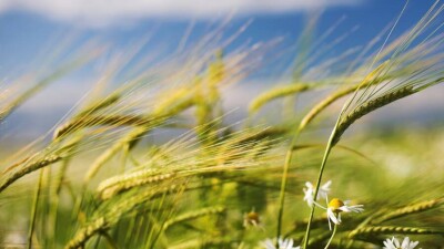 Прогноз погоды на 28 апреля: сильный ветер ожидается на севере Казахстана