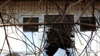 Что происходит в Украине. Главное за день 16 марта