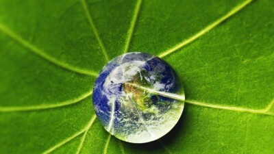 28 июля наступил День экологического долга