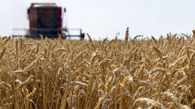 Токаев о субсидировании сельского хозяйства: Бюджетные средства растворяются