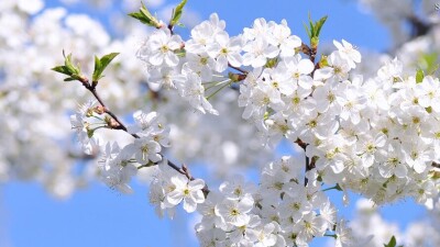 В мае казахстанцы отмечают сразу три праздника и будут работать только 18 дней. Календарь выходных