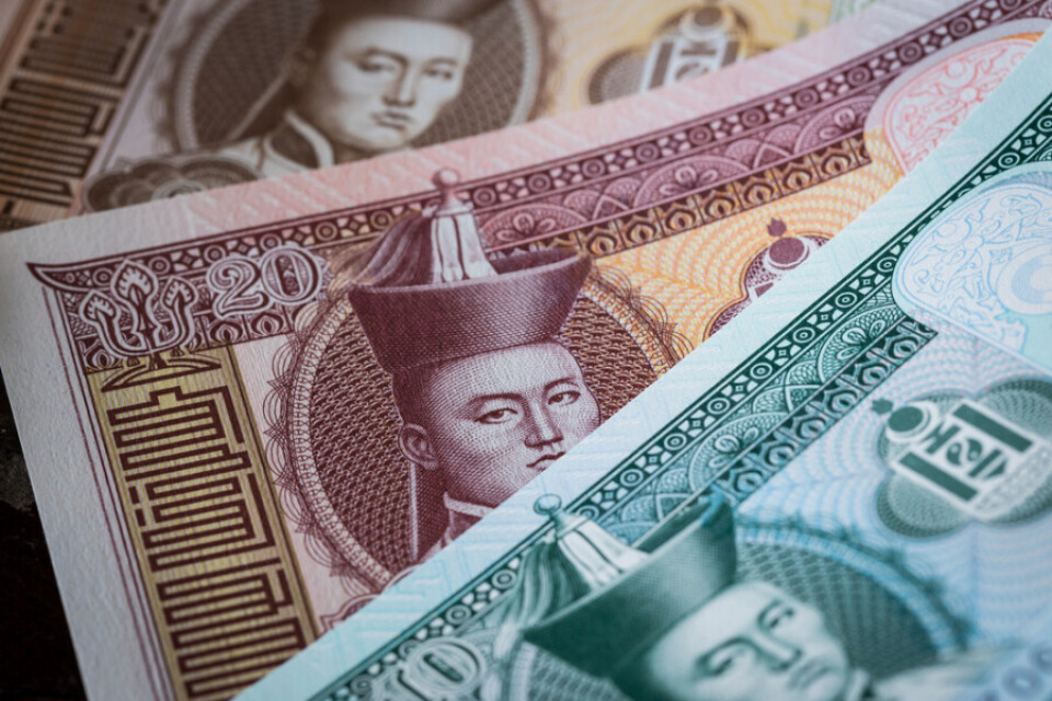 Власти Монголии выдадут по 100 долларов каждому гражданину страны из-за усиления карантинных мер