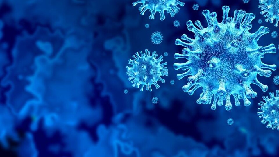 В Казахстане за две недели не зарегистрировали ни одной смерти от Covid-19