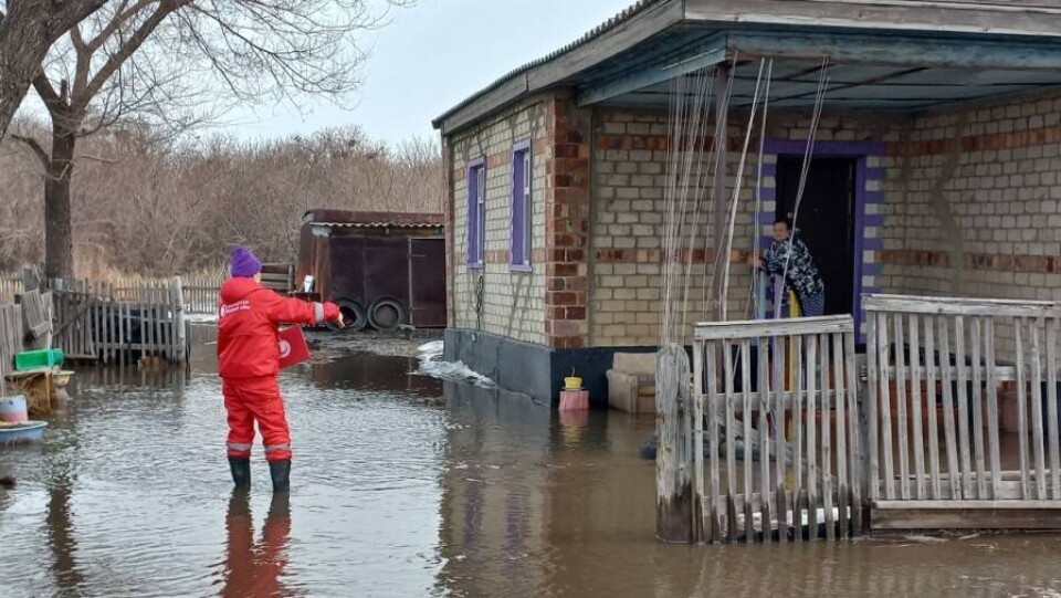 Помощь на 110 млн тенге получили свыше тысячи человек, пострадавших от разрушительных паводков