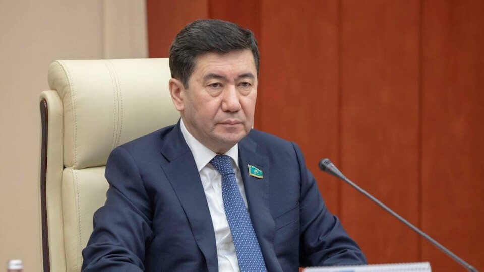 "Депутаты стали чаще поднимать острые проблемы". Кошанов рассказал президенту о работе мажилиса