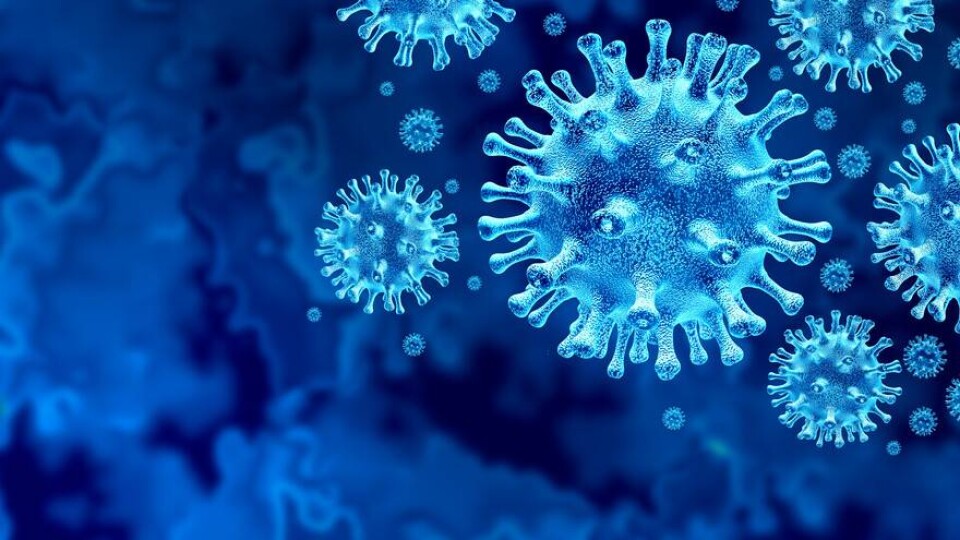 В Казахстане за три недели не зарегистрировали ни одной смерти от Covid-19