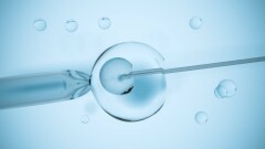 Биыл ЭКО бағдарламасына 7 мың квота бөлінді. Оған медициналық сақтандыру арқылы қалай қатысуға болады?