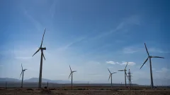 Жасыл энергия: Үндістан назарын Орталық Азияға аударды