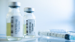 Қазақстанда жануарларға арналған коронавирусқа қарсы вакцина әзірленеді
