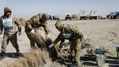 Арал теңізінің табанына 5 мың сексеуіл көшеті отырғызылды