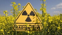 Радиация қаупі төнсе, не істеу керек? Дәрігер кеңесі