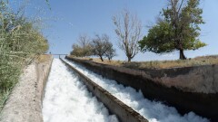 Алматы облысында халық тегін ішіп отырған артезиан суын жеке меншікке сатып жіберген