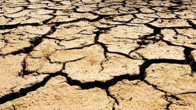 Судан туған шу: Жамбыл облысының өрісінде мал өлексесі көбейген