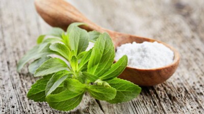 Табиғи қант алмастырғыш. Отандық ғалымдар стевияны жаппай көбейту технологиясын әзірледі