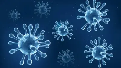 Жаңа оқу жылы басталды. Күзде қандай жұқпалы аурулардан сақтану керек