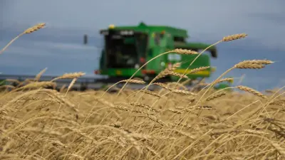 Аграрлық экспорттың нақты жоспарын әзірлеу қажет – Тоқаев