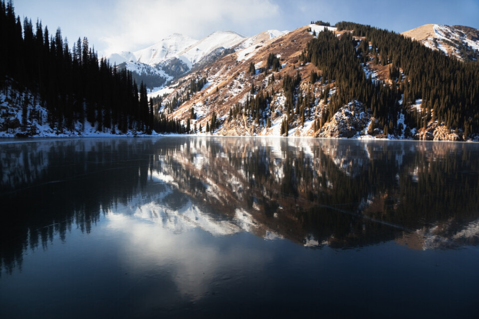 Сурет depositphotos.com сайтынан алынды