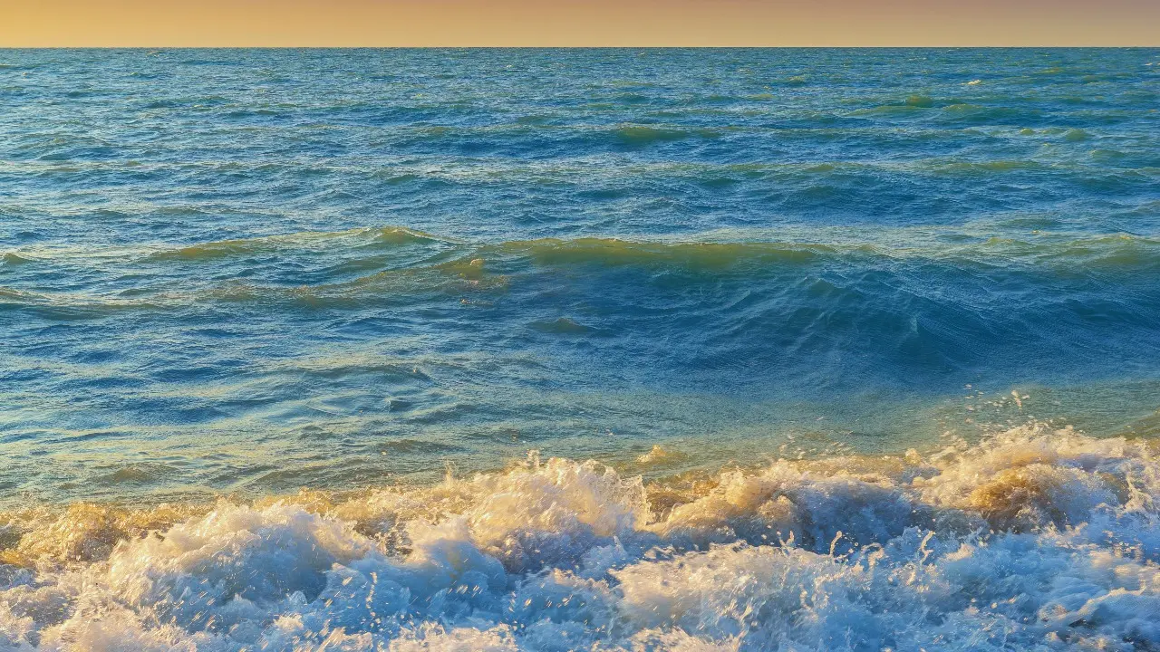 Фото: Дмитрий Ерофеев