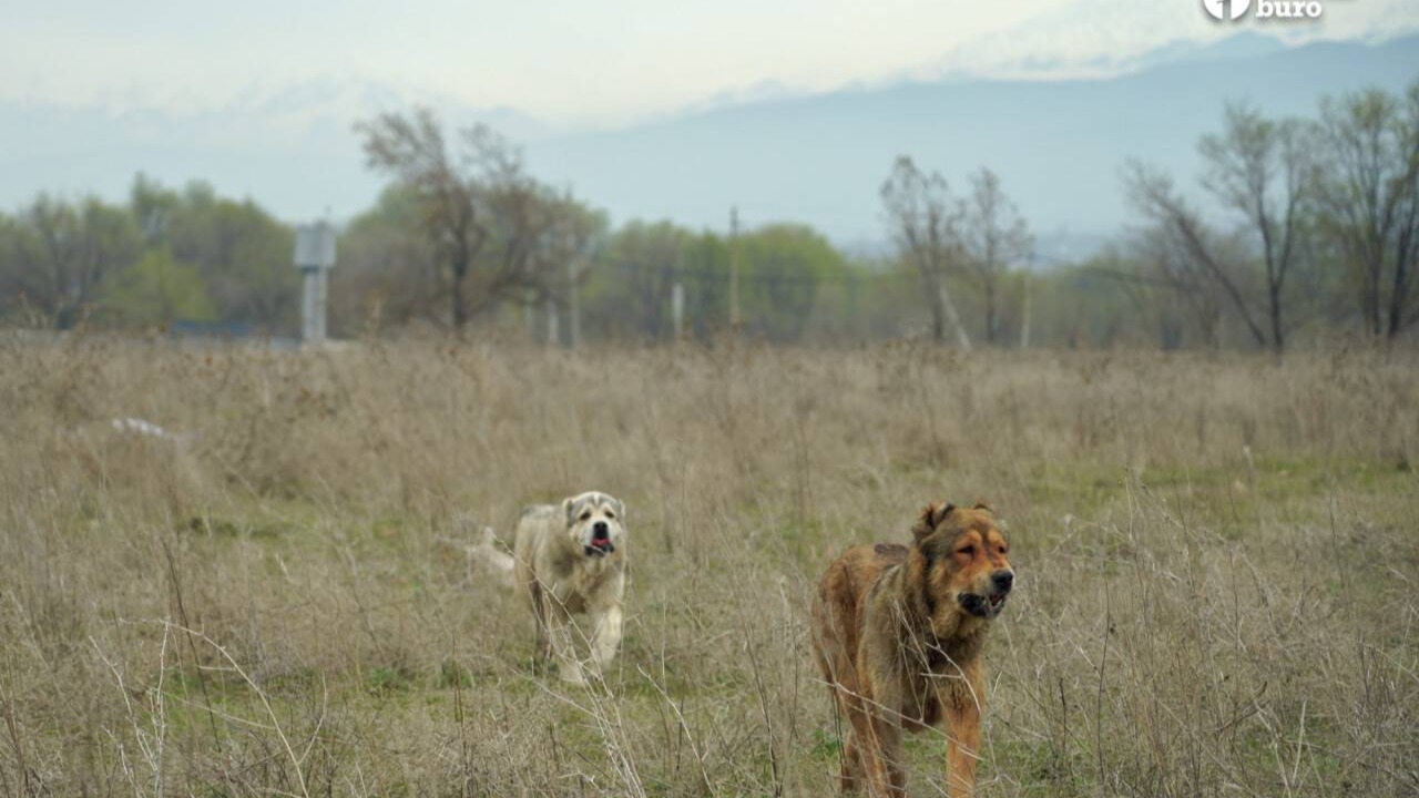 Фото: Informburo.kz