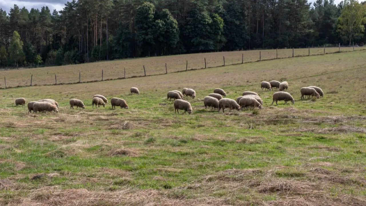 Фото: Depositphotos.com