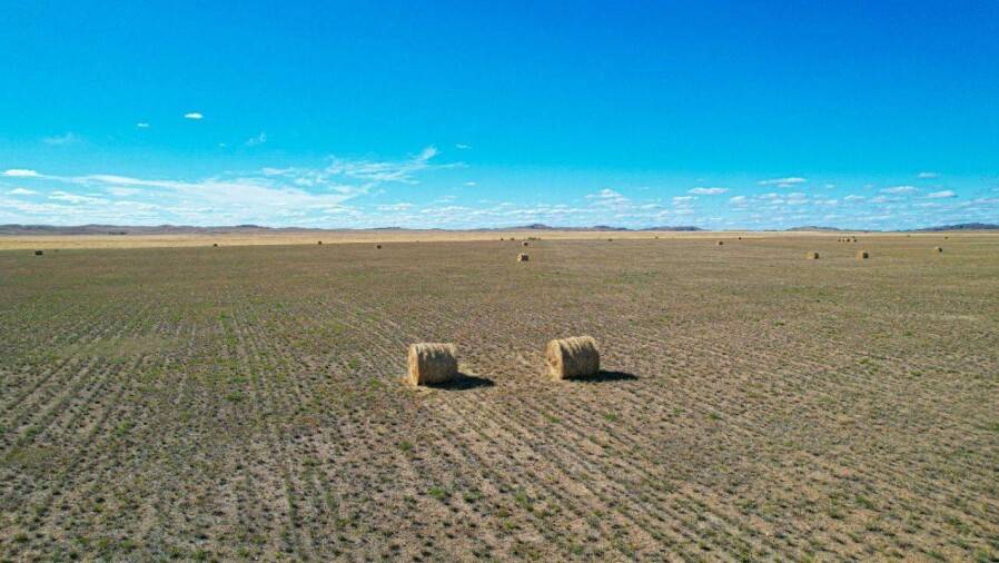 Amanat Қарағанды облысында 1 млн га жерді мемлекет меншігіне қайтаруға көмектесті