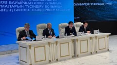 Түркістан облысының кәсіпкерлері салық реформасына қатысты қандай ұсыныстар айтты