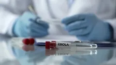 Жаңа жаһандық пандемия қаупі артып келеді – ДДСҰ