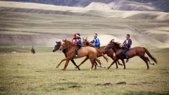 Қазақстан 2026 жылы ат спорты бойынша 3 халықаралық жарысты өткізу құқығын иеленді