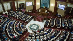Парламент пен атқарушы биліктегі әйелдердің үлесі қанша?