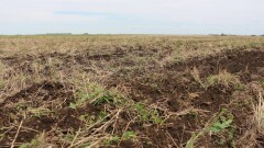 Қазақстанда қайтарылған ауыл шаруашылығы жерлерінің интерактивті картасы іске қосылды