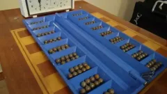 Пәкістанда Тоғызқұмалақ федерациясы құрылды