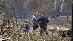 Скляр орманшылардың жалақысы өскенімен, қаражат неге қолдарына тимегенін түсіндірді