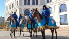 Қазақтың "Адай" жылқысының қасиеті заңды түрде бекітілді