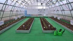 Нұр-Сұлтанда "Жасыл мектептер" жобасы іске қосылды