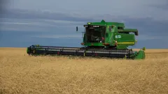 Қазақстанның 12 өңірінде егін орағы басталды. Серік Жұманғарин қалдық астықты өткізуді жеделдетуді тапсырды