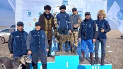 Павлодар облысында құмай тазылар арасында шырға тартудан республикалық жарыс өтті