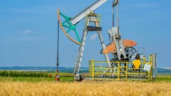 Бидай сабанынан – биоэнергия. Ол мұнай мен газға тәуелділіктен құтқара ма?