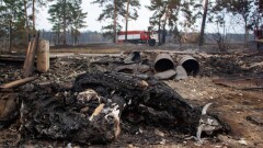 Қостанайда өрт қаупі жоғары уақытта адамдардың орманға баруына тыйым салынбақ