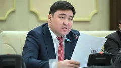 "Абыройды айрандай төгіп жүр". Депутат пранкшыл блогерлерді жауапқа тартуды сұрады